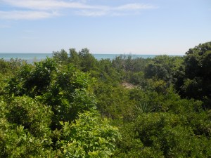 overlooking Indian Key