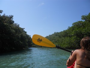 "Just around the river bend!"