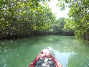lagoon kayak
