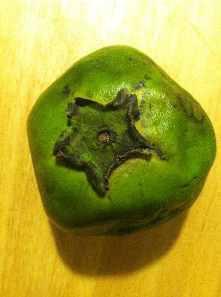 Sapote