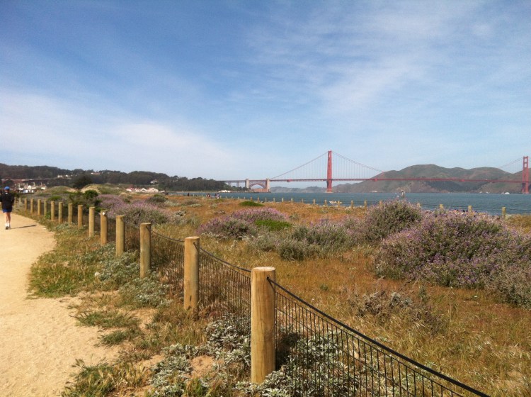 GGBridge Far