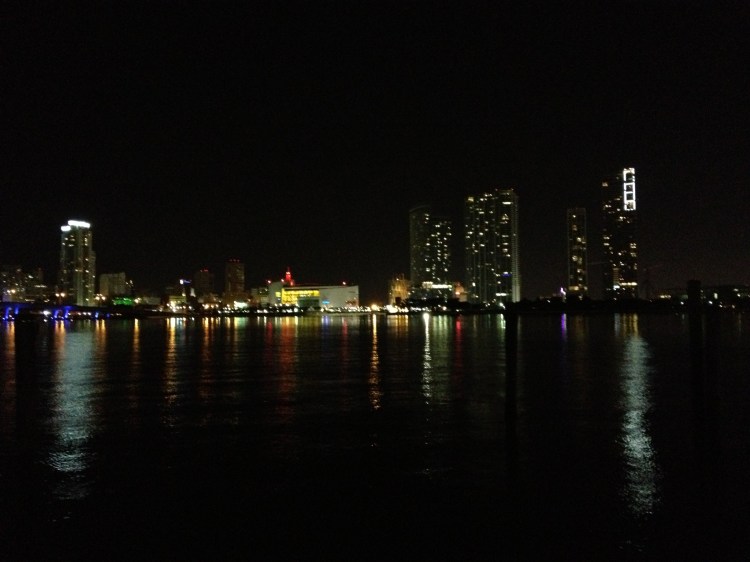 Miami Skyline 2