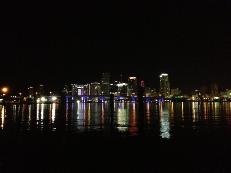 Miami Skyline