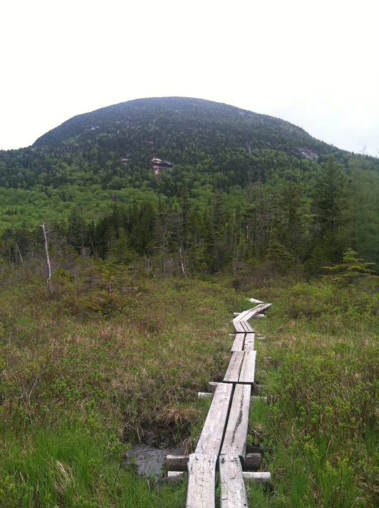 Lonesome Lake trail
