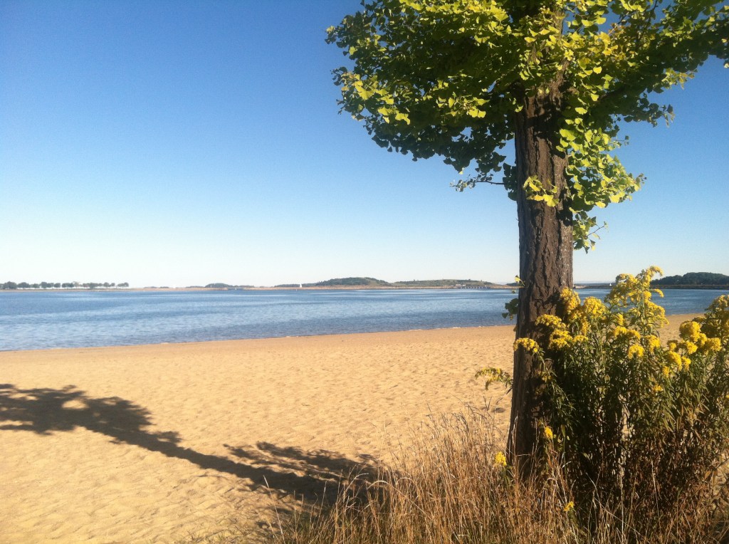 Castle Island Beach