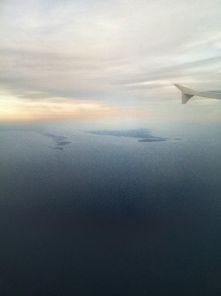 Vineyard from the sky
