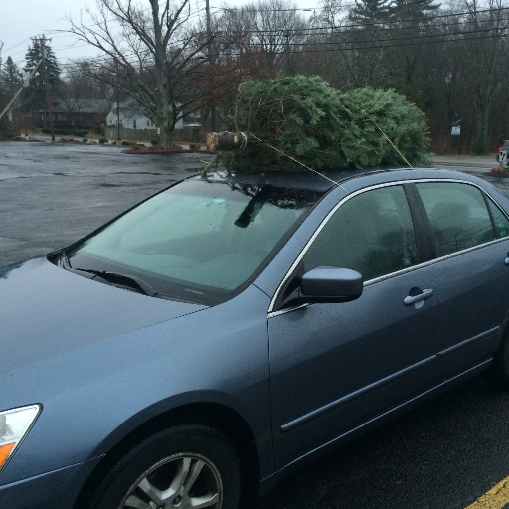 Car tree