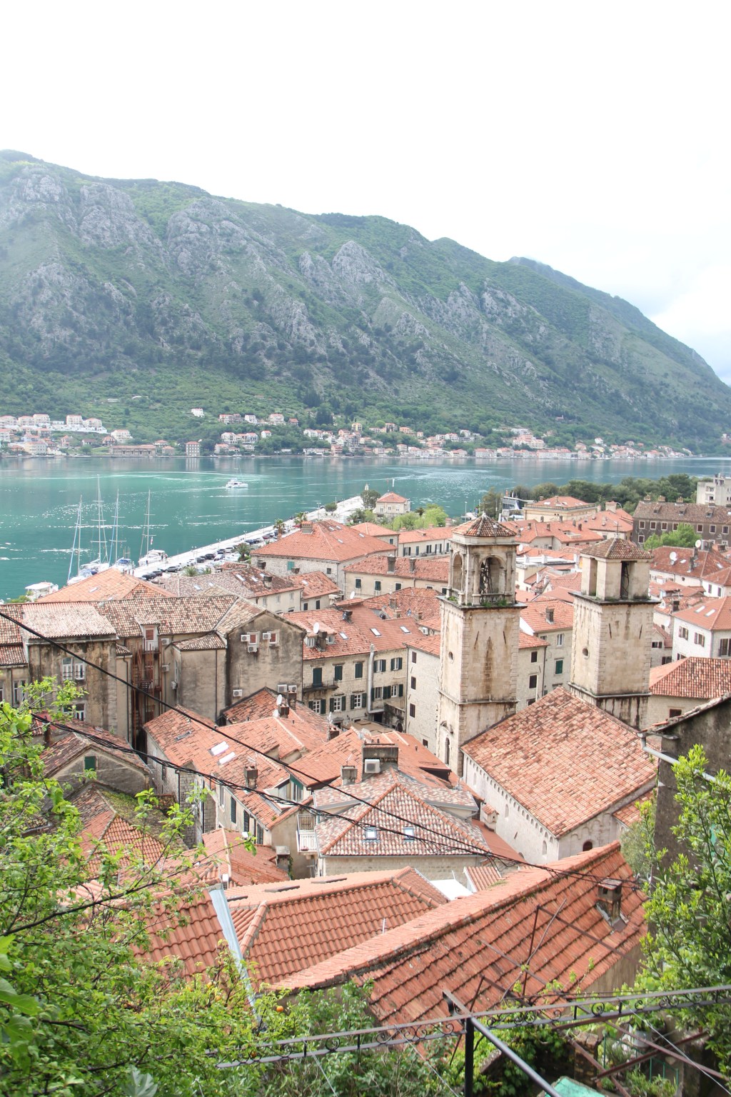 Kotor